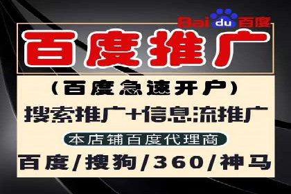 谷歌竞价案例：提升品牌知名度的广告投放